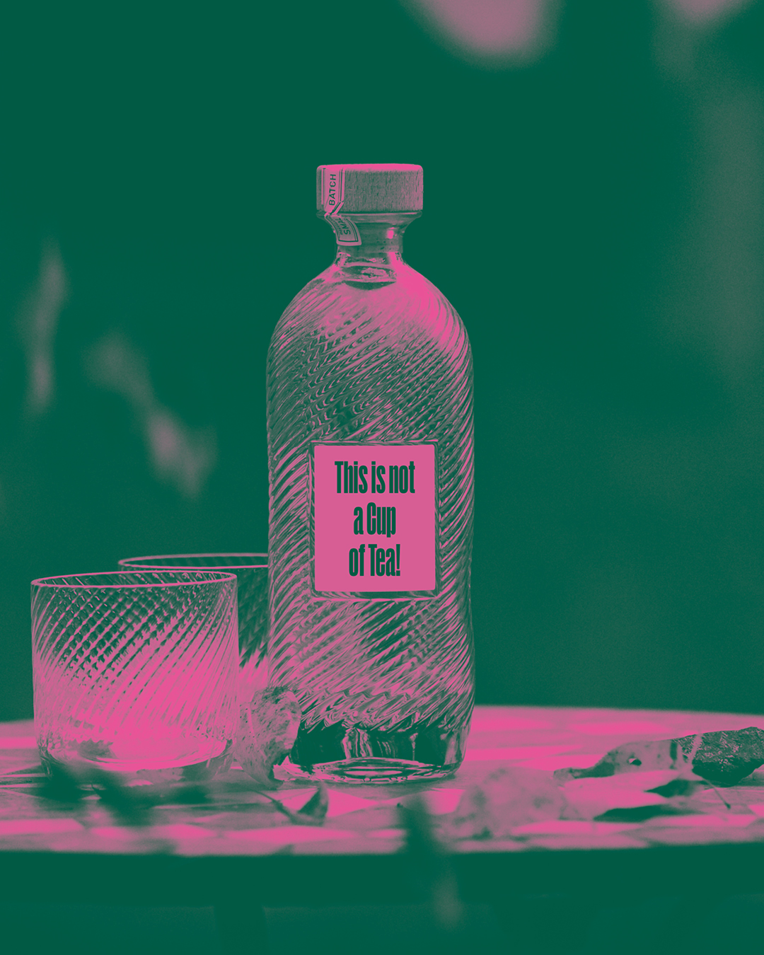 01-TT-HEADER2